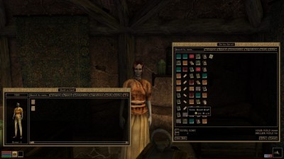 Моды для The Elder Scrolls III: Morrowind добавляют 109 новых магических эффектов и второе оружие