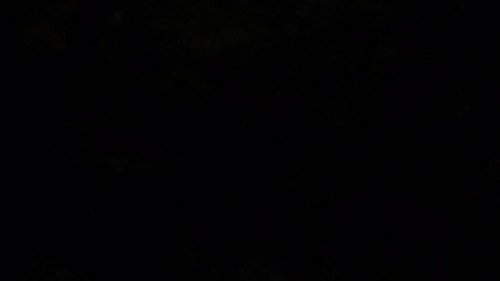 Апокриф: Tomb Raider. Перезагрузка, которая всё испортила Апокриф: Tomb Raider. Перезагрузка, которая всё испортила