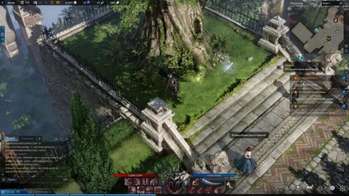  Lost Ark: cемена мококо на материке Артемис 