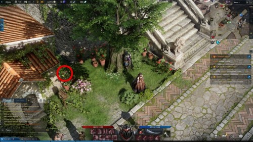  Lost Ark: cемена мококо на материке Артемис 