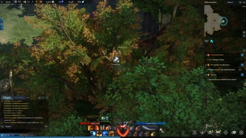  Lost Ark: cемена мококо на материке Артемис 