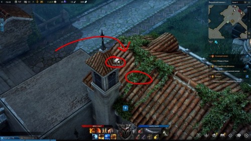  Lost Ark: cемена мококо на материке Артемис 