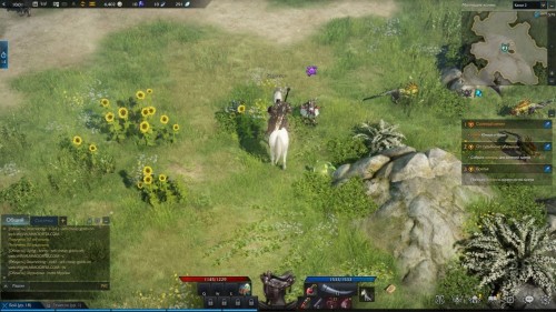  Lost Ark: cемена мококо на материке Артемис 