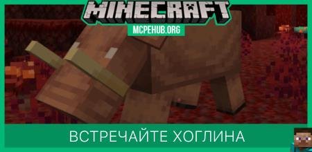 Встречайте Хоглина Встречайте Хоглина